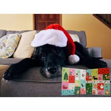 2022 Advent Calendar for Dogs Treats & Postcard Gift Set