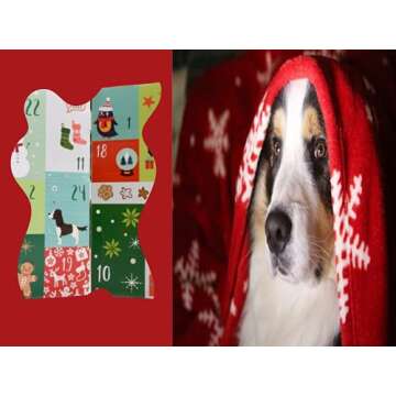 2022 Advent Calendar for Dogs Treats & Postcard Gift Set