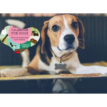 2022 Advent Calendar for Dogs Treats & Postcard Gift Set