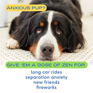 Native Pet Calm Dog Chews - Natural Anxiety Relief Chews