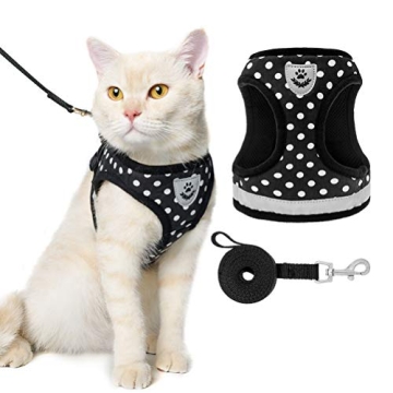 Reflective Cat Harness & Leash Set for Safe Exploration