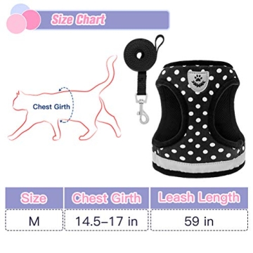 Reflective Cat Harness & Leash Set for Safe Exploration