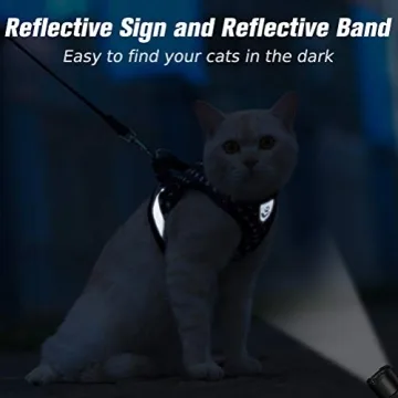 Reflective Cat Harness & Leash Set for Safe Exploration