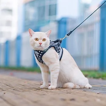 Reflective Cat Harness & Leash Set for Safe Exploration