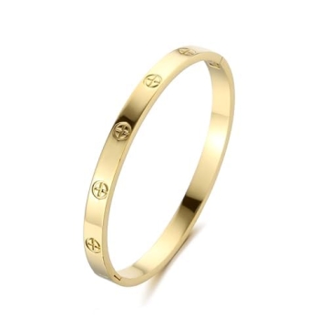 YCSLYW Women's Stainless Steel Bracelet Jewelry Crystal Bracelet With Cube Zircon Hinge Jewelry oval...