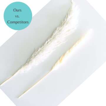 4 Pcs Small Dried Pampas Grass - Boho Home Decor