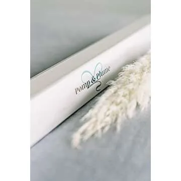 4 Pcs Small Dried Pampas Grass - Boho Home Decor