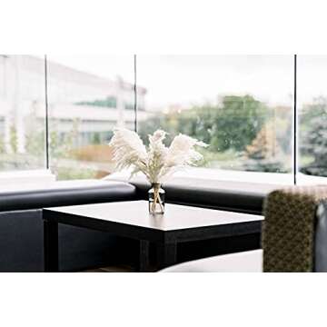 4 Pcs Small Dried Pampas Grass - Boho Home Decor