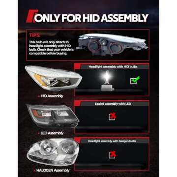 Torchbeam D3S Headlight Bulbs for Ultimate Night Vision