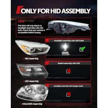 Torchbeam D3S Headlight Bulbs for Ultimate Night Vision