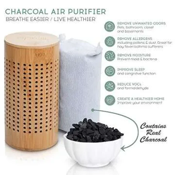 APRAII Charcoal Bag Odor Absorber - Stylish Air Purifier for Home
