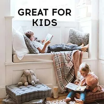 APRAII Charcoal Air Purifying Bags - Odor Eliminator