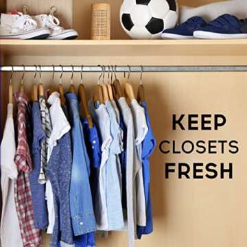 APRAII Charcoal Air Purifying Bags - Odor Eliminator