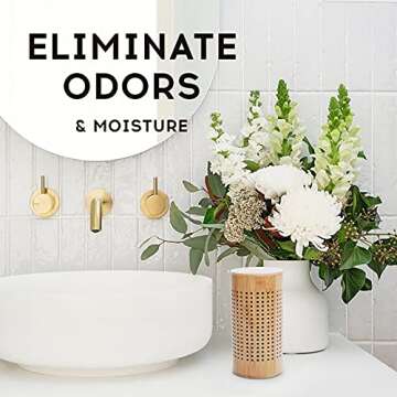 APRAII Charcoal Air Purifying Bags - Odor Eliminator