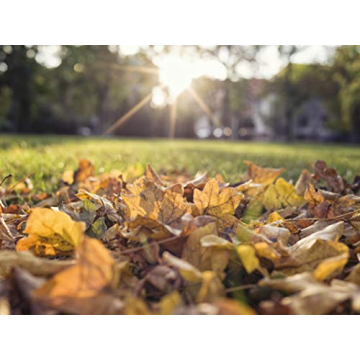 GARDENA Lawn Leaf Sweeper Large Capacity Easy Push 5-Year Warranty