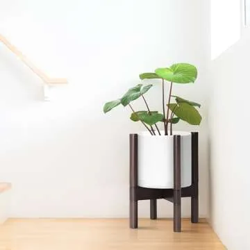 D'vine Dev Planter Pot with Stand - 8 Inch Plastic Cylinder Flower Pot with Wood Planter Holder for Indoor, Matte White Pot + Walnut Color Stand, 55-C-I-1