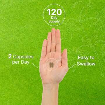 DEAL SUPPLEMENT Ginkgo Biloba 500mg Per Serving, 240 Capsules, 4 Month Supply – Grown in Northern Asia – Extra Strength, Promotes Brain Function