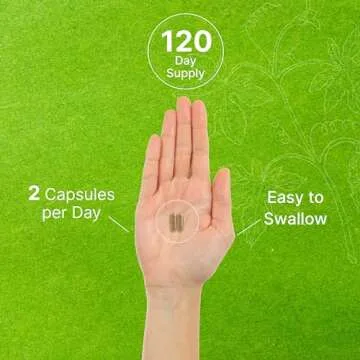 DEAL SUPPLEMENT Ginkgo Biloba 500mg Per Serving, 240 Capsules, 4 Month Supply – Grown in Northern Asia – Extra Strength, Promotes Brain Function