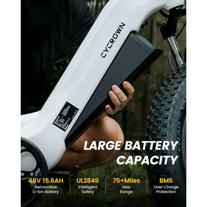 CycVerve Electric Bike for Adults,1000W Motor City Cruiser Ebike, 48V Removable Battery, 28MPH 75Miles Step-Thru Electric Bicycle, 26" x 4.0 Fat Tire Full Shock Absorber Commuter E Bike