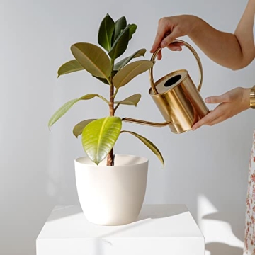 T4U Self Watering Planters for Easy Plant Care