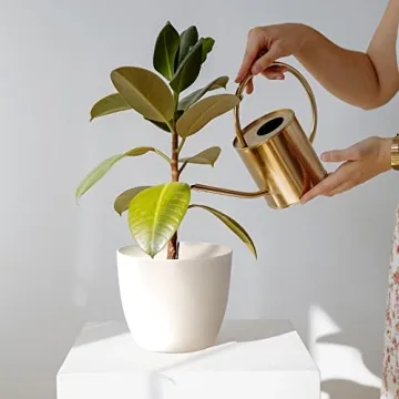 T4U Self Watering Planters for Easy Plant Care