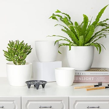 T4U Self Watering Planters for Easy Plant Care