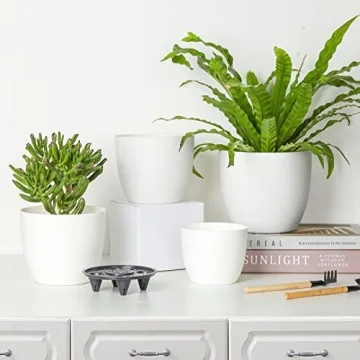T4U Self Watering Planters for Easy Plant Care