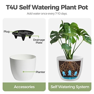 T4U Self Watering Planters for Easy Plant Care