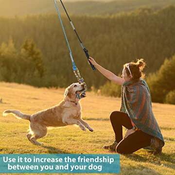 Meieke Flirt Pole for Dogs Pet Teaser Wand Interactive Training Exercise Rope