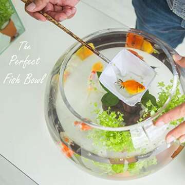 CYS EXCEL Large Glass Bubble Bowl (H-9.5" W-11", Approx. 3 Gal.) | Multiple Size Choices Fish Bowl Vase | Glass Round Bowl Terrarium | Globe Flower Vase Centerpiece