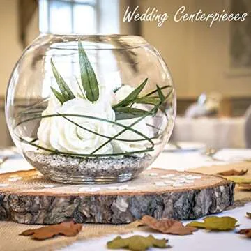 CYS EXCEL Large Glass Bubble Bowl (H-9.5" W-11", Approx. 3 Gal.) | Multiple Size Choices Fish Bowl Vase | Glass Round Bowl Terrarium | Globe Flower Vase Centerpiece