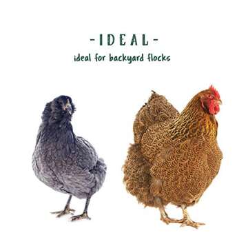 Manna Pro NON GMO Poultry Feed | No Artificial Flavors or Colors | Great for Mixed Flocks | Chick Starter, Layer, & 6 Grain Flaxseed | 10 lb