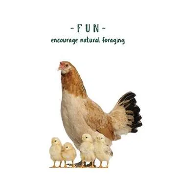 Premium Manna Pro Non-GMO Poultry Feed for Healthy Flocks