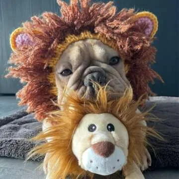 Zoo Snoods Lion Costume - Knit Mane Dog Snood Ear Wrap for Pets, Warm Neck Cover for Halloween and Winter (Medium)