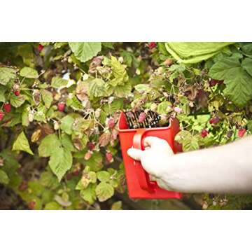 Linden Sweden Jonas Berry Picker Tool - Plastic Rake Comb for Blueberries, Lingonberries, and Huckleberries - Won't Damage Fruit or Plants, Protects Hands from Thorns - BPA-Free, 8.5 x 5.5", Red