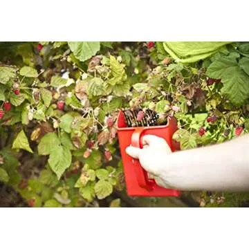 Linden Sweden Berry Picker Tool for Easy Fruit Picking