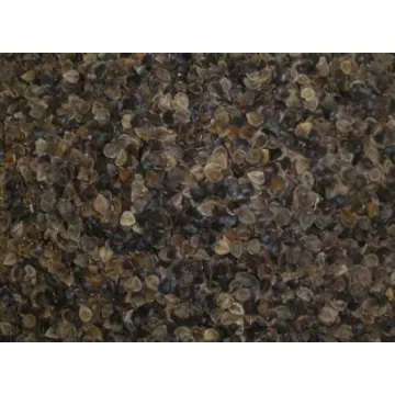 Buckwheat Pillow Replacement Hulls - Organic Comfort Awaits