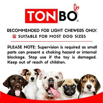 TONBO Cute Food Plush Dog Toys Perfect for Light Chewers