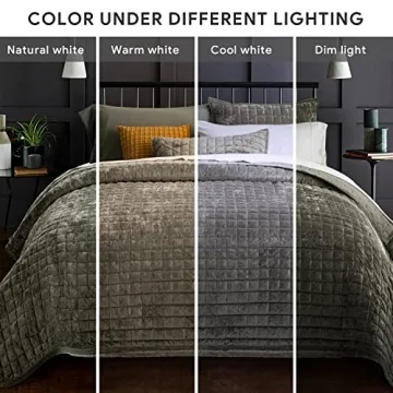 RECYCO Luxury Velvet Quilt Set for All Seasons, Olive Green