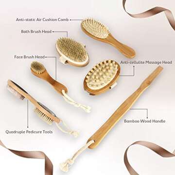 Dry Body Brushing Set - Natural Bristle Shower Brush - Remove Dead Skin & Toxins, Cellulite Treatmen...