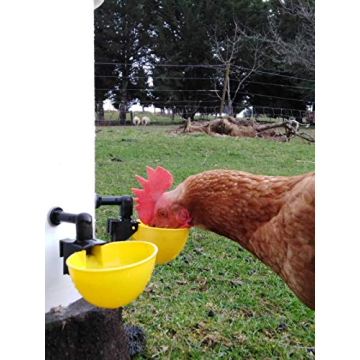 Lil' Clucker Automatic Poultry Waterer System 4-Pack