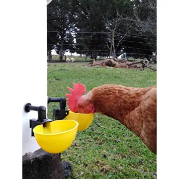 Lil' Clucker Automatic Poultry Waterer System 4-Pack