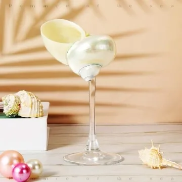 Singhoow Conch Shell Wine Glass – Perfect for Any Celebration
