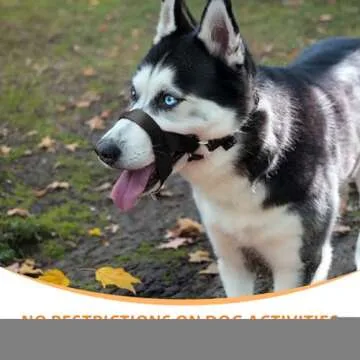 BARKLESS Soft Dog Head Collar, No Pull Training Tool for Medium Large Dogs on Walks, Gentle Halter for Heavy Pullers, Includes A Training Guide