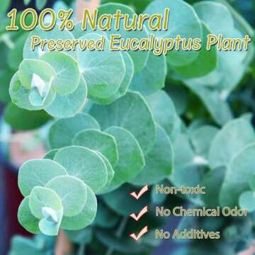 1600+ Natural Eucalyptus Leaves for Eco-Friendly Wedding Confetti