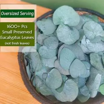 Natural Eucalyptus Leaves for Wedding Confetti Decoration