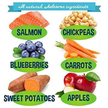 Premium Healthy Dog Jerky Treats | Grain Free Salmon Dog Treat Bites | Natural Snack Made with Salmon, Chickpeas & Sweet Potatoes | No Corn, Wheat or Soy