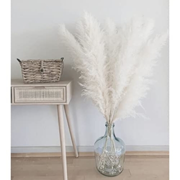 AlobyC® Pure White Pampas Grass for Elegant Home Decor