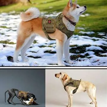 Tactical Dog Vest for Training & Outdoor Adventure