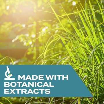 Stem Kills Fruit Fly Trap - Safe & Natural Pest Control